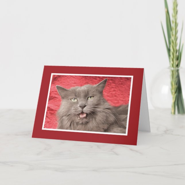 We're Purrfect for Eachother - Customised Holiday Card (Front)