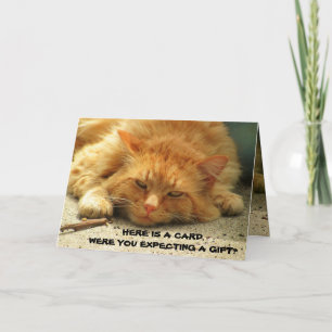Were You Expecting a Gift? That's Cute. Mean Kitty Card