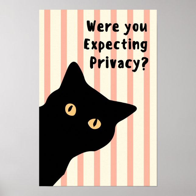 Were You Expecting Privacy Funny Cat Bathroom Wall Poster (Front)