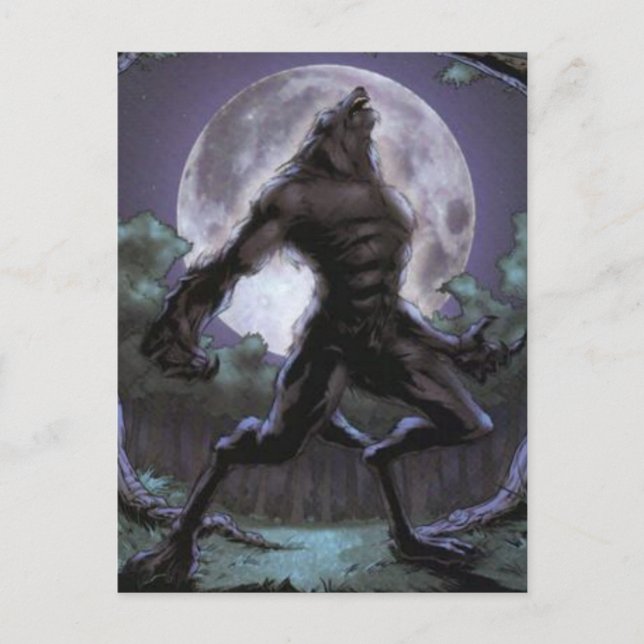 Werewolf Howling At The Moon Postcard (Front)