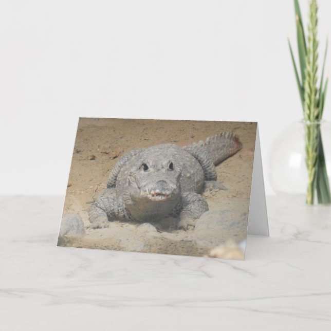 "West African Dwarf Crocodile" Birthday Card (Front)