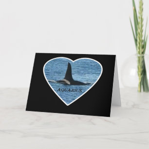 West Coast Killer Whale Aquarius Customisable Gree Card