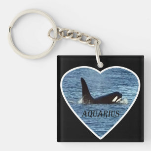 West Coast Killer Whale "Aquarius" Orca  Key Ring
