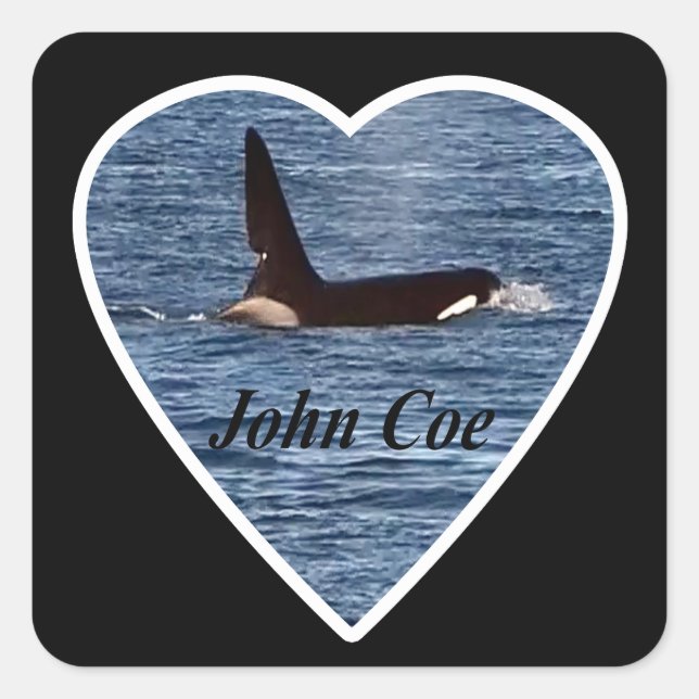 West Coast Killer Whale "John Coe" Orca  Square Sticker (Front)