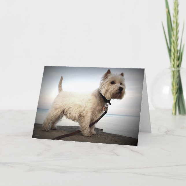 West Highland Terrier Card (Front)