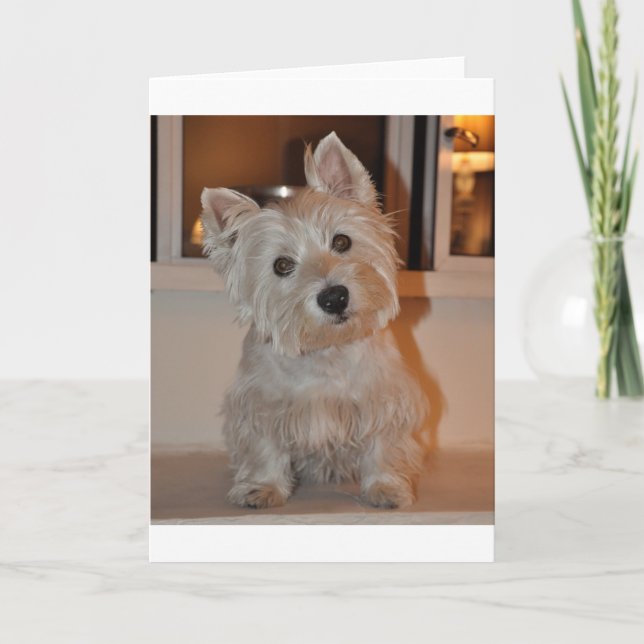 West Highland Terrier Card (Front)