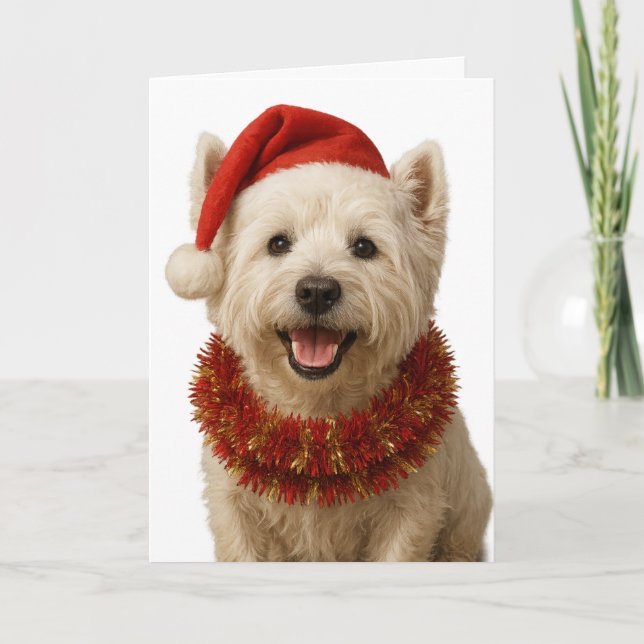 West Highland Terrier Christmas card (Front)