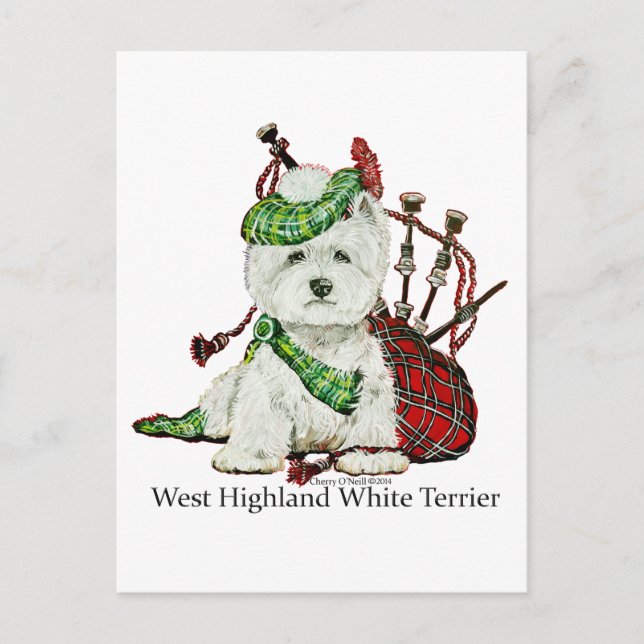 West Highland Terrier Postcard (Front)