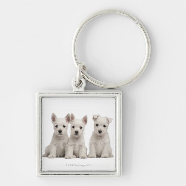 West Highland Terrier puppies (7 weeks old) Key Ring (Front)