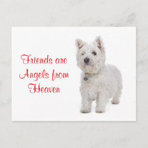 West Highland Terrier Westie Dog Friends Postcard