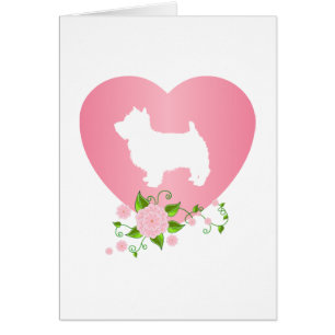 West Highland White Terrier