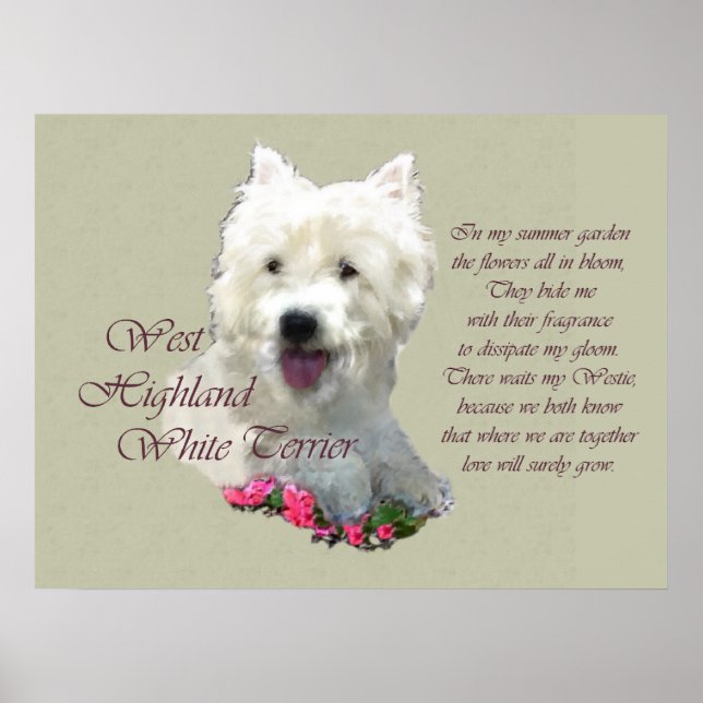 West Highland White Terrier Art Print (Front)