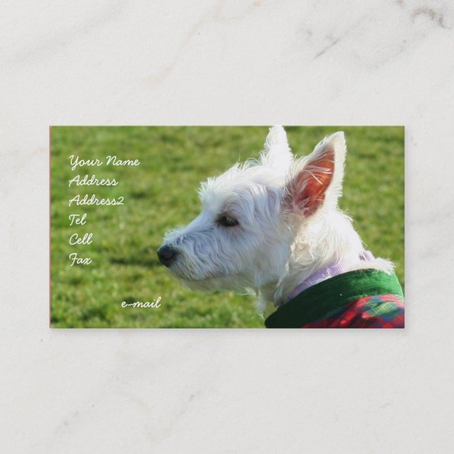 West Highland White Terrier business cards (Front)