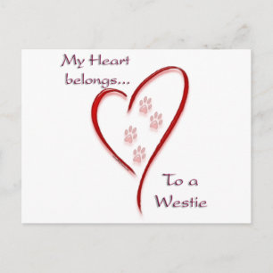 West Highland White Terrier Heart Belongs Postcard