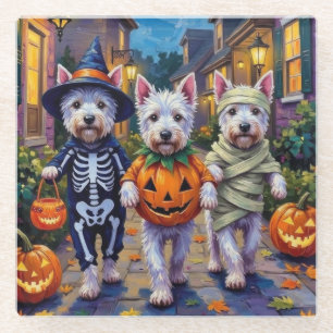 West Highland White Terrier In Halloween Costumes Glass Coaster