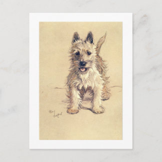 West Highland White Terrier Postcard