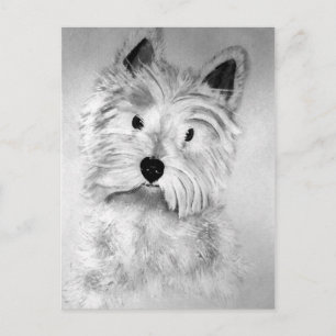 West Highland White Terrier Postcard