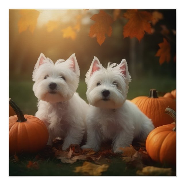 West Highland White Terrier Puppy Autumn Pumpkin Poster (Front)