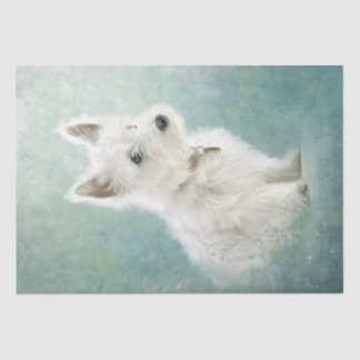 West Highland White Terrier Tissue Paper