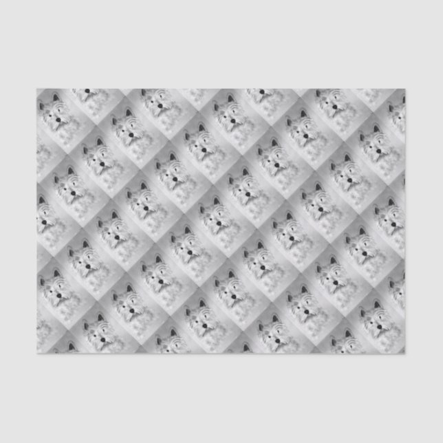 West Highland White Terrier Tissue Paper (Front)