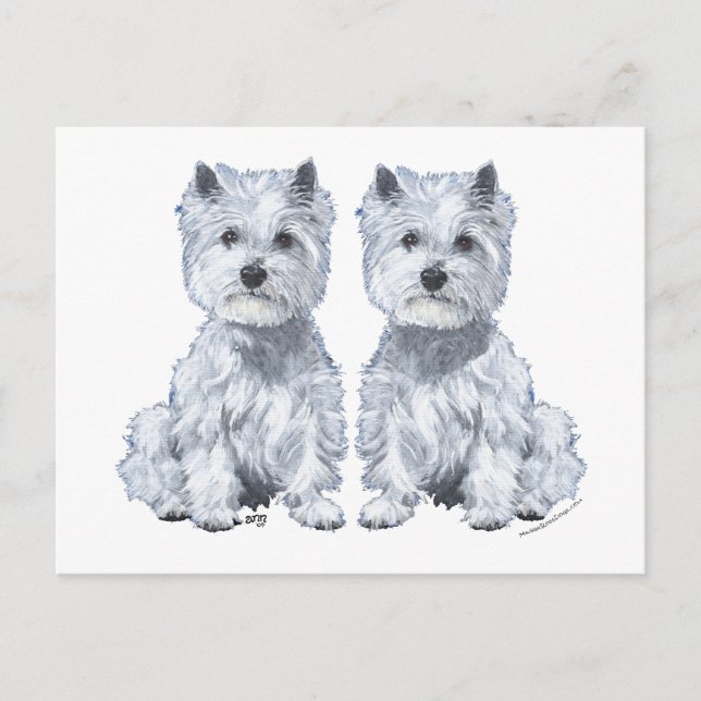West Highland White Terrier Twins! Postcard (Front)
