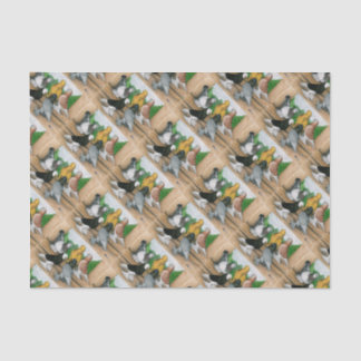 West of England Tumbler Pigeons Tissue Paper