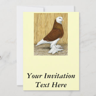 West of England Tumbler Red Baldhead Invitation