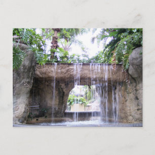 West Palm Beach Tropical Waterfall Scene Postcard