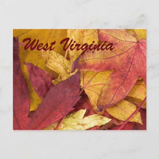 West Virginia Autumn Leaves Postcard (Front)