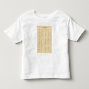 Westchester County, New York 4 Toddler T-Shirt
