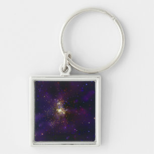 Westerlund 2, a young star cluster key ring