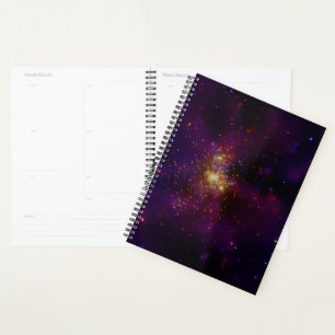 Westerlund 2 planner