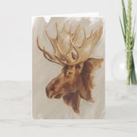 Western American Animal Study | Moose Portrait