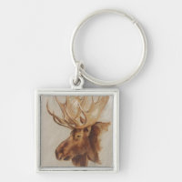 Western American Animal Study | Moose Portrait