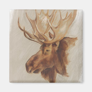 Western American Animal Study Moose Portrait Magnet