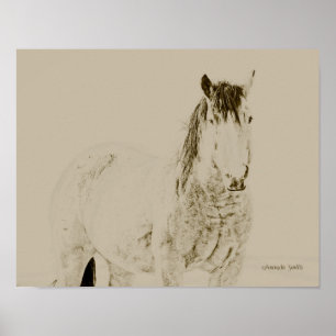 western art horse print, retro, vintage 11x14 gift poster