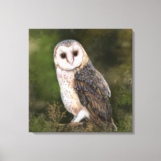 Western Barn Owl Canvas Print - Painting  (Front)