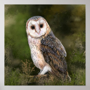 Western Barn Owl - Migned Watercolor Painting Art  Poster