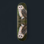 Western Barn Owl - Migned Watercolor Painting Skateboard<br><div class="desc">Western Barn Owl - Migned Watercolor Painting Art Beautiful Forest Bird</div>