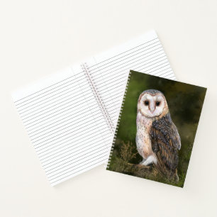 Western Barn Owl Notebook