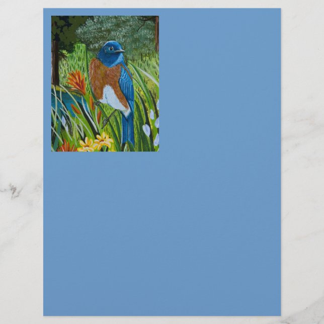 Western Bluebird (Front)