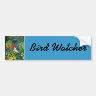 Western Bluebird Bumper Sticker