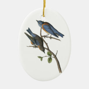 Western Bluebird by Audubon Ceramic Tree Decoration