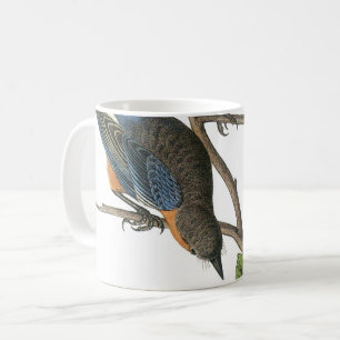 Western Bluebird by Audubon Coffee Mug