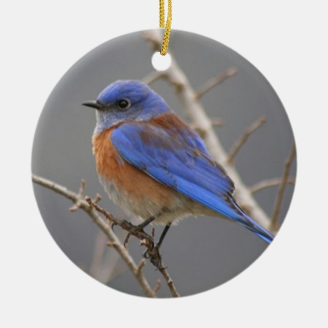 Western Bluebird Ceramic Tree Decoration (Front)