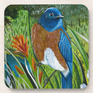 Western Bluebird Coaster