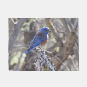 Western Bluebird Doormat