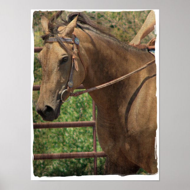 Western Buckskin Poster (Front)