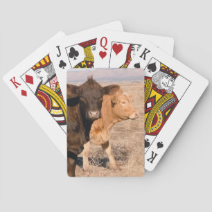 Western Cattle Cows Walking Together Rural Scene Playing Cards