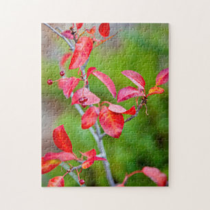 Western Choke Cherry (Prunus Virginiana) In Fall Jigsaw Puzzle